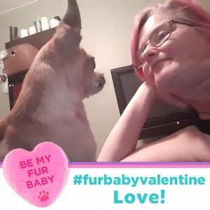 Meet your Posher, Rose